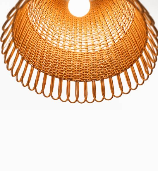 Bloomlight - Image 2
