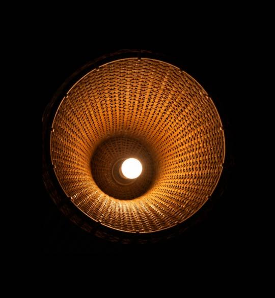The Bell Bloom - Image 3