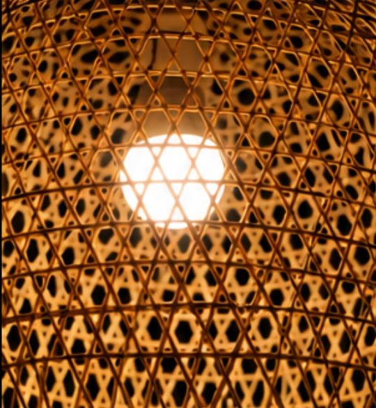 The Bell Bloom - Image 6