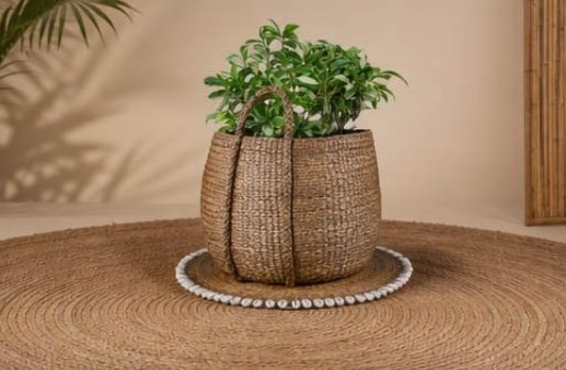 Garden - Image 4